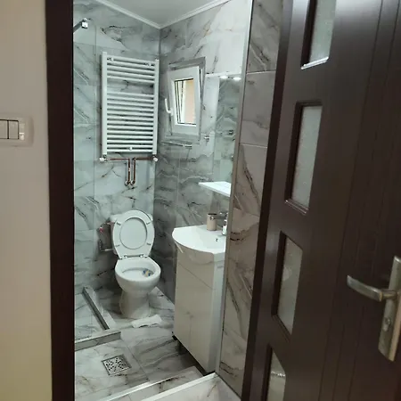 アパート Tonya House 1 ティミショアラ