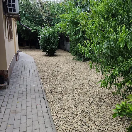 Tonya House 1 Timişoara