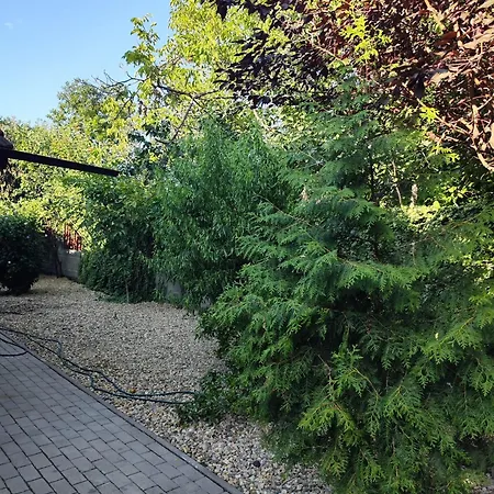 Tonya House 1 Timişoara