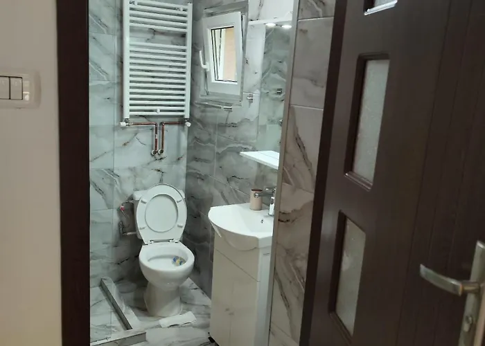 Apartment Tonya House 1 Timisoara