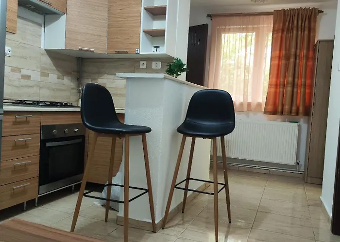 Tonya House 1 * Timisoara