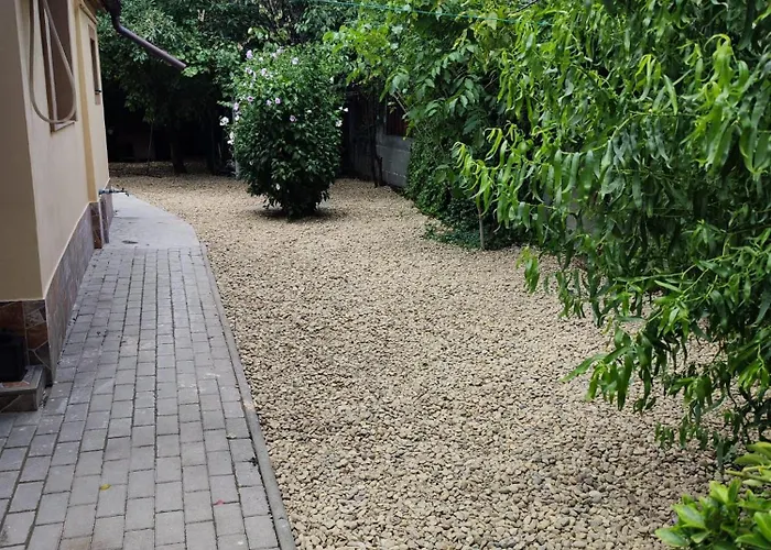 Tonya House 1 Timisoara