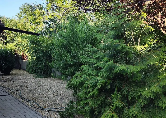 Tonya House 1 Timisoara